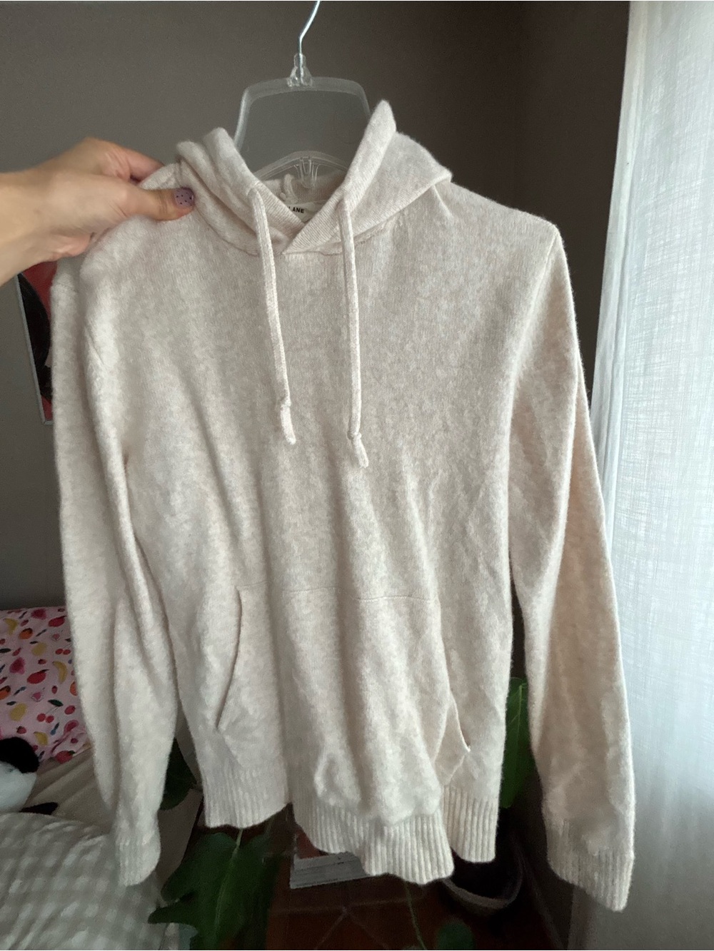 Everlane Wool Hoodie